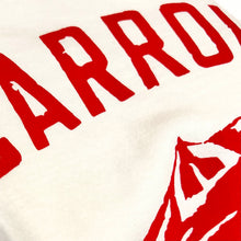 Carica l'immagine nel visualizzatore di Gallery, CARROLL CO. vintage TEE