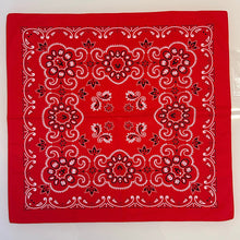 Carica l'immagine nel visualizzatore di Gallery, Bandana XL Yoshi RED
