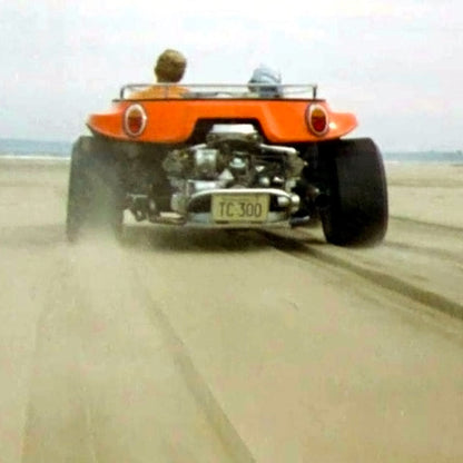 STEVE BUGGY TEE